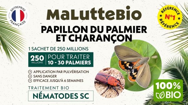 Traitement biologique efficace : nématodes hb anti-pests